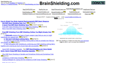 Desktop Screenshot of brainshielding.com