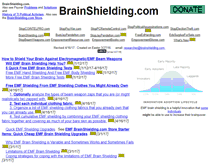 Tablet Screenshot of brainshielding.com